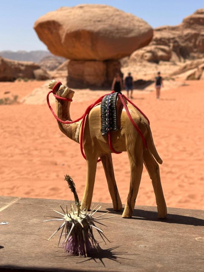 Wadi Rum Oryx Hostel & Tours Ngoại thất bức ảnh